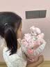 AWHAHelloKitty玩偶花束库洛米卡通毛绒玩偶花束生日礼物送女朋友 粉色美乐蒂玩偶花束+礼袋灯串 实拍图