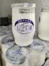 圣祥【老北京酸奶北京特产】酸牛奶儿童记忆美食乳品 蜂蜜180g*12瓶 实拍图