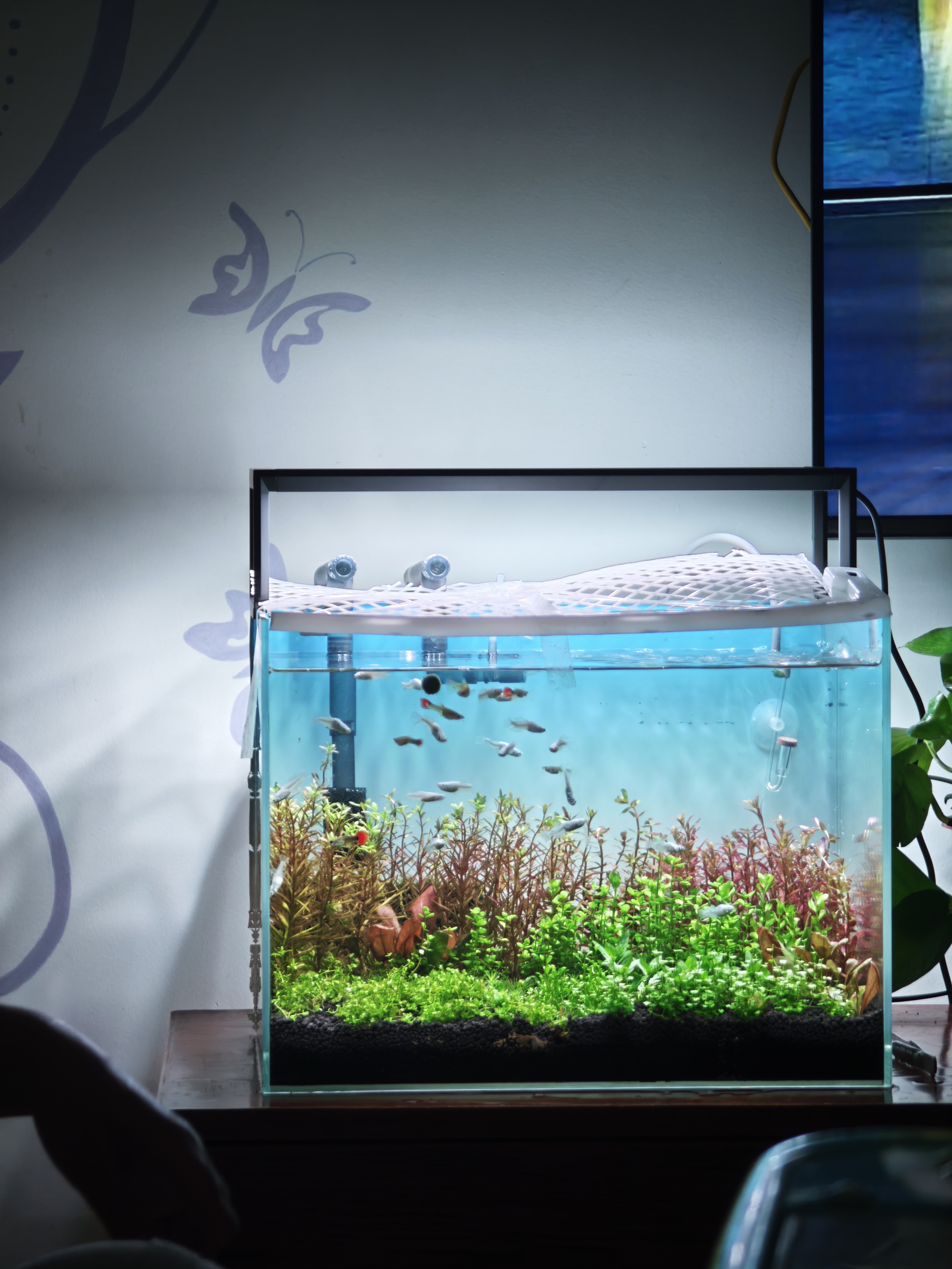 尼特利AT5S水草灯540S专业级全光谱led伸缩鱼缸灯专用植物补光灯 实拍图
