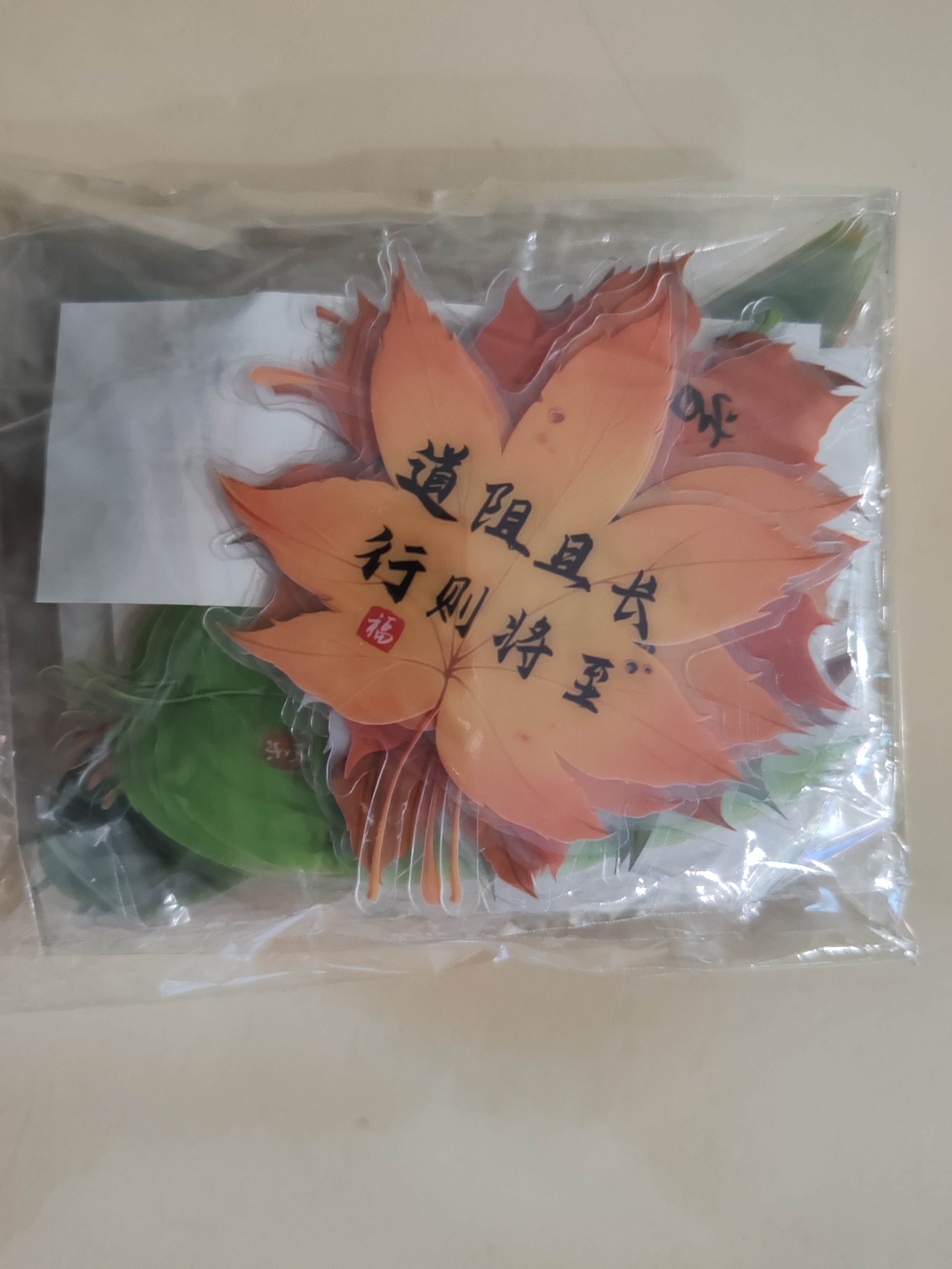 狮洛德 中国风60张书法树叶书签学生文具考试奖励小礼品创意励志文字书页夹 实拍图
