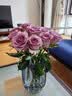 北欧轻奢玻璃花瓶透明客厅高级感插花水养鲜花装饰精致花器摆件 【20高烟灰】璀璨花瓶 实拍图