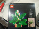 乐高（LEGO）积木机械组42115 兰博基尼FKP男女孩玩具生日礼物家居装饰摆件 实拍图