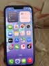 Apple苹果iPhone17/16/15/14/13/12pro/max系列 二手手机内存以质检报告为准 苹果 iPhone 13 Pro Max 实拍图
