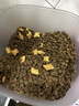 麦富迪猫粮 barf霸弗天然猫粮冻干生骨肉高蛋白成猫粮养胃增肌牛肉5.4kg 实拍图