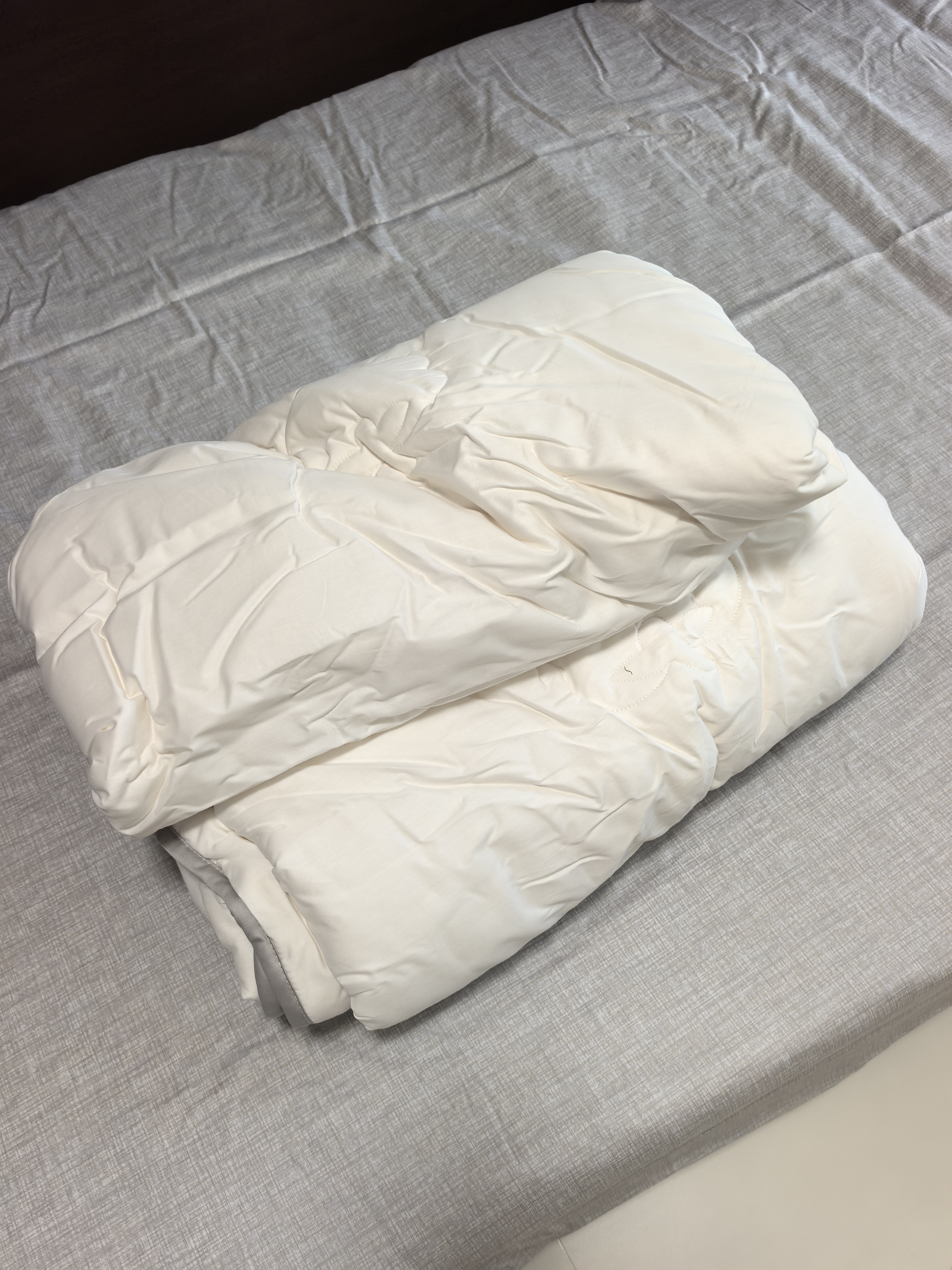 罗莱家纺 100%新疆棉花全棉春秋被子 吸湿透气四季被芯 重约3.4斤 实拍图