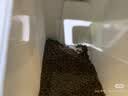 玫斯猫粮 试吃装 全价猫试吃50g 实拍图