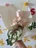 京东鲜花玫瑰花随机颜色30枝(2-3种颜色)40cm鲜切花生活花束山东源头直发 实拍图