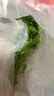 带根香菜100g 实拍图