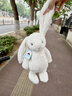 Jellycat害羞乳白色邦尼兔动物毛绒玩偶安抚玩偶娃娃送礼生日礼物 害羞乳白色邦尼兔 Medium 实拍图