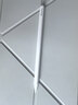 Apple/苹果 Pencil Pro 磁吸触控笔手写笔苹果笔电容笔书写绘画iPad笔 适用于iPad Pro/Air/mini机型 实拍图