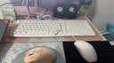 飞利浦（PHILIPS）国家补贴27英寸台式一体机电脑主机( 酷睿i5-12450H 16G 512G 旋转升降底座 WiFi蓝牙 键鼠)S9白 实拍图