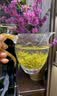 XIANGXINYI张家界莓茶芽尖茅岩莓湘西土家搭恩施来凤高山藤茶送长辈 60g/罐【多买更划算】 实拍图