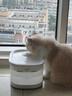 霍曼（Homerun）小方块饮水机猫咪饮水机喂水器宠物饮水器无线水泵自动循环 实拍图