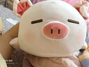 名创优品（MINISO）小猪B-BO弹力超柔趴姿公仔毛绒玩偶儿童玩具抱枕靠枕生日礼物女 实拍图