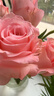 京东鲜花百合8朵玫瑰10支送配草1束共3束节日礼物随机色源头直发 实拍图