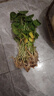意轩铜钱草水培盆栽室内室外花卉金钱草绿植吸绿植花草植物 1盆【100根茎带叶发货不含盆】 实拍图