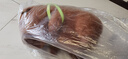 熊猫熊卡皮巴拉玩偶公仔布娃娃毛绒玩具大号送女孩生日礼物女生睡觉抱枕 实拍图