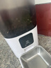 PAPIFEED猫咪自动喂食器宠物定时定量投食机猫粮狗粮碗wifi远程智能投粮 实拍图