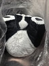 熊猫熊大小熊猫玩偶公仔毛绒玩具娃娃儿童男孩生日礼物女同学成都纪念品 实拍图
