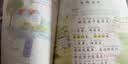 2026斗半匠课堂笔记一年级上册语文人教版黄冈学霸笔记教材全解小学一年级同步教材课前预习课后复习辅导书 实拍图