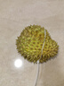 【原研进口】康瑞保 复方肝素钠尿囊素凝胶 10g/2盒 祛疤膏 修复疤痕 用药 实拍图