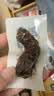 三只松鼠手撕风干牛肉干250g原味内蒙古特产风味牛肉干肉脯休闲零食世界杯 实拍图