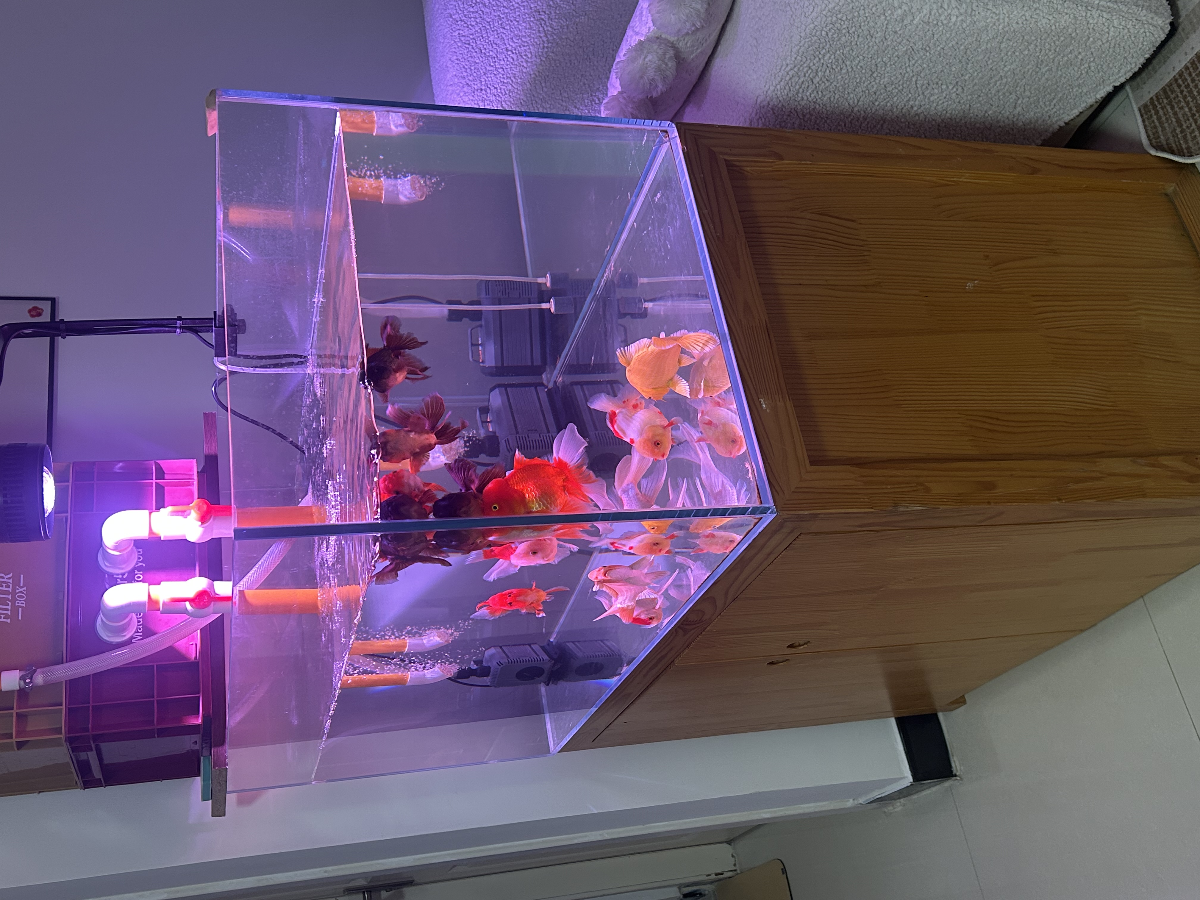 森森 鱼缸潜水泵水陆两用家用潜水泵HQB-2500 实拍图
