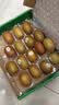 佳沛（zespri）新西兰阳光金奇异果16粒礼盒经典果单果 88-103g  猕猴桃水果礼盒 实拍图