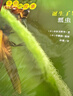 生命的故事 第2辑10册 儿童绘本3-6岁幼儿园推荐少儿百科全书小自然昆虫故事书儿童科普绘本儿童节礼物 实拍图