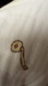 奇美拉（CHIMERA）麦穗发夹发卡女边夹侧夹刘海夹一字夹顶夹头饰发饰女生日礼物 实拍图