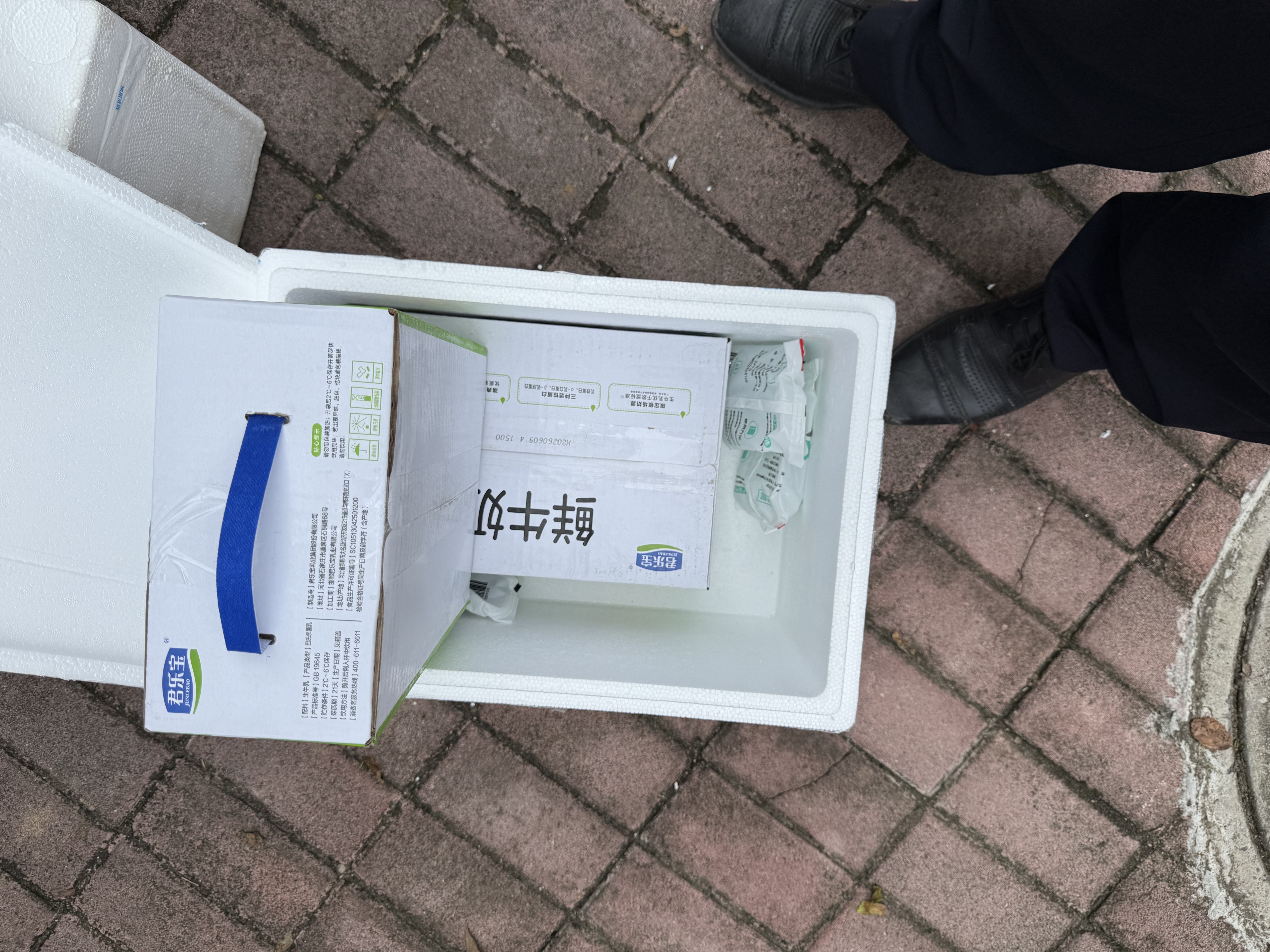 聪明却混乱的孩子：利用“执行技能训练”提升孩子学习力和专注力 家教育儿书 实拍图