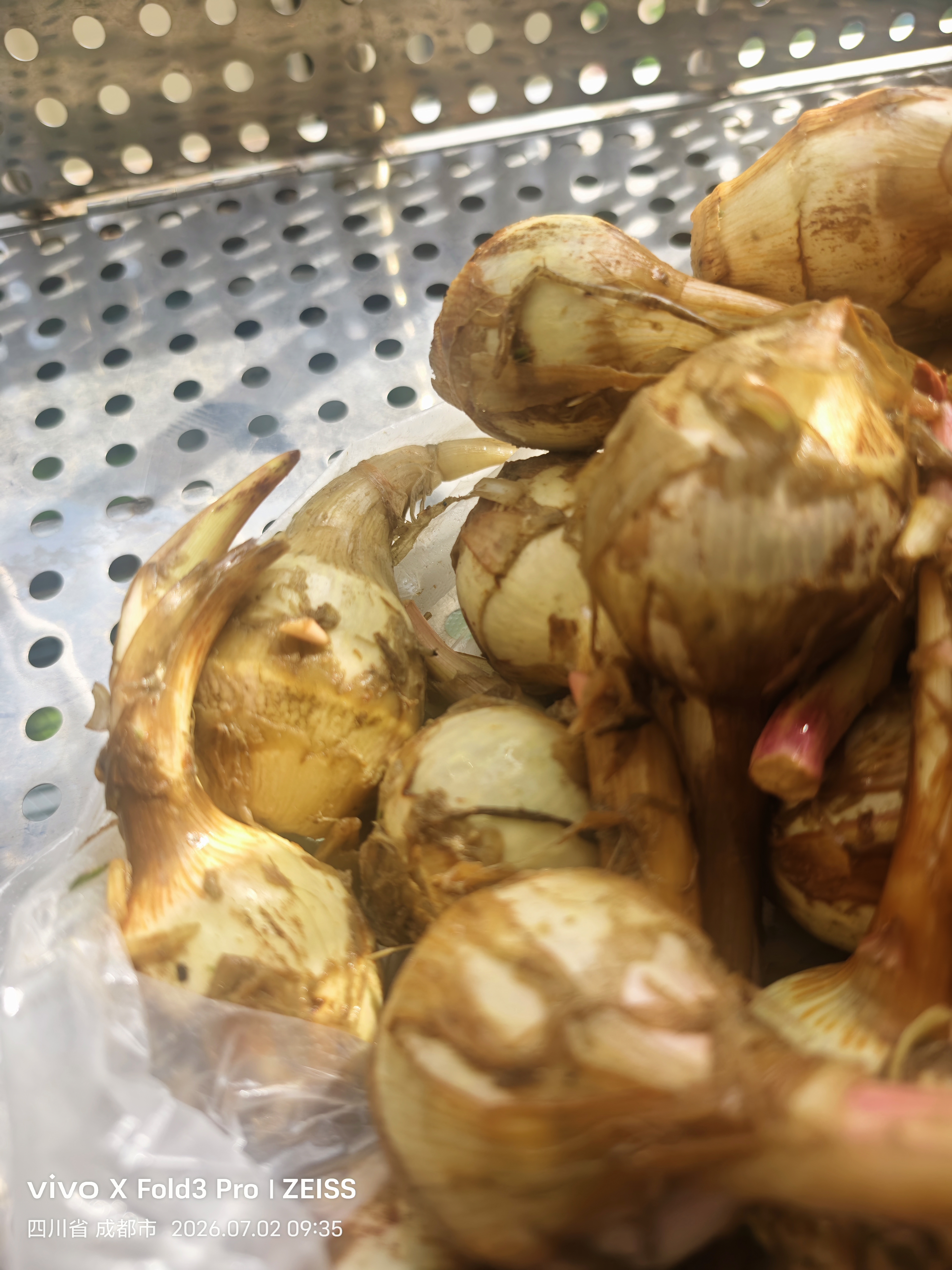 云南新鲜现挖白茨菇野生马蹄菇燕粉糯慈姑火锅蔬菜 带箱2斤大果 实拍图