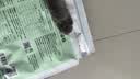 LEGENDSANDY蓝氏 低温烘焙猫粮 成猫幼猫粮 全价鲜肉粮 猎鸟乳鸽1.5kg 实拍图