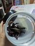 蒙都超干牛肉干细条 原味220g 约九成风干 清真 保真牛肉干 实拍图