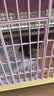 ZEZE狗笼子室内宠物笼狗狗围栏中型犬小型适用家用防逃脱宠物笼子 实拍图