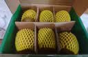 佳沛（zespri）新西兰 阳光金奇异果12粒特大果单果124-146g 猕猴桃水果礼盒 实拍图
