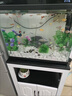 派乐特鱼缸过滤棉白绿棉水族箱材料生化棉过滤器加厚高密度养鱼用品 实拍图