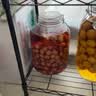 喜碧（Scybe）泡酒容器 密封罐10斤装泡酒专用瓶泡菜坛子泡酒瓶腌菜瓶潘多拉5L 实拍图