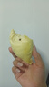 九阳烧水壶电热水壶家用1.7L大容量有钛内胆双钢杯体防烫保温电水壶开水煲 1.7L 【亮黑色】 实拍图