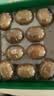 佳沛（zespri）新西兰阳光金奇异果10粒巨大果单果146-175g 猕猴桃水果礼盒 实拍图
