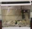 疯狂水草净水王700ml鱼缸净水剂水质澄清剂净化剂一滴清水质清澈剂清洁剂 实拍图