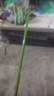 柏鲨 钓鱼竿套装组合手竿海竿鱼杆新手鱼具钓鱼装备全套渔具垂钓用品 3.6+4.5手竿+简易版25件套 实拍图