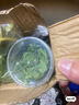 沃绣 蚕宝宝当天发货 活蚕宝宝蚕卵小蚕彩色蚕新鲜桑叶学生养蚕套装 1龄小蚕10条+小盒+桑叶 实拍图