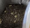 LEGENDSANDY蓝氏猎鸟乳鸽生骨肉冻干猫粮 全价成猫幼猫猫粮 盒装4.5kg 实拍图