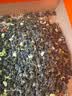 福茗源四大茉莉花茶叶500特级新茶川派茉莉飘雪曲螺龙珠中秋礼盒500g 实拍图
