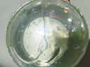 自然乐园芦荟胶晒后修复凝胶补水保湿身体乳液面霜女男士300ml 实拍图