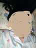 蕉内515H好好吃睡衣女士夏季冰丝凉感丝质缎面短袖可外穿情侣家居服女 【短长版】陶粉条纹-水蜜桃 L 实拍图