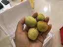 京觅陕西大荔冬枣头茬精品 单果12g-16g 净重1斤 20-30颗 源头直发 实拍图