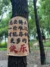 李宁护腕腱鞘炎tfcc健身手腕拉伤运动用固定护具羽毛球卧推加压护套 实拍图