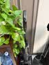 石头A30 Pro Steam智享版蒸汽洗地机【160℃蒸汽】 25000pa吸力自清洁除菌扫地机器人 实拍图